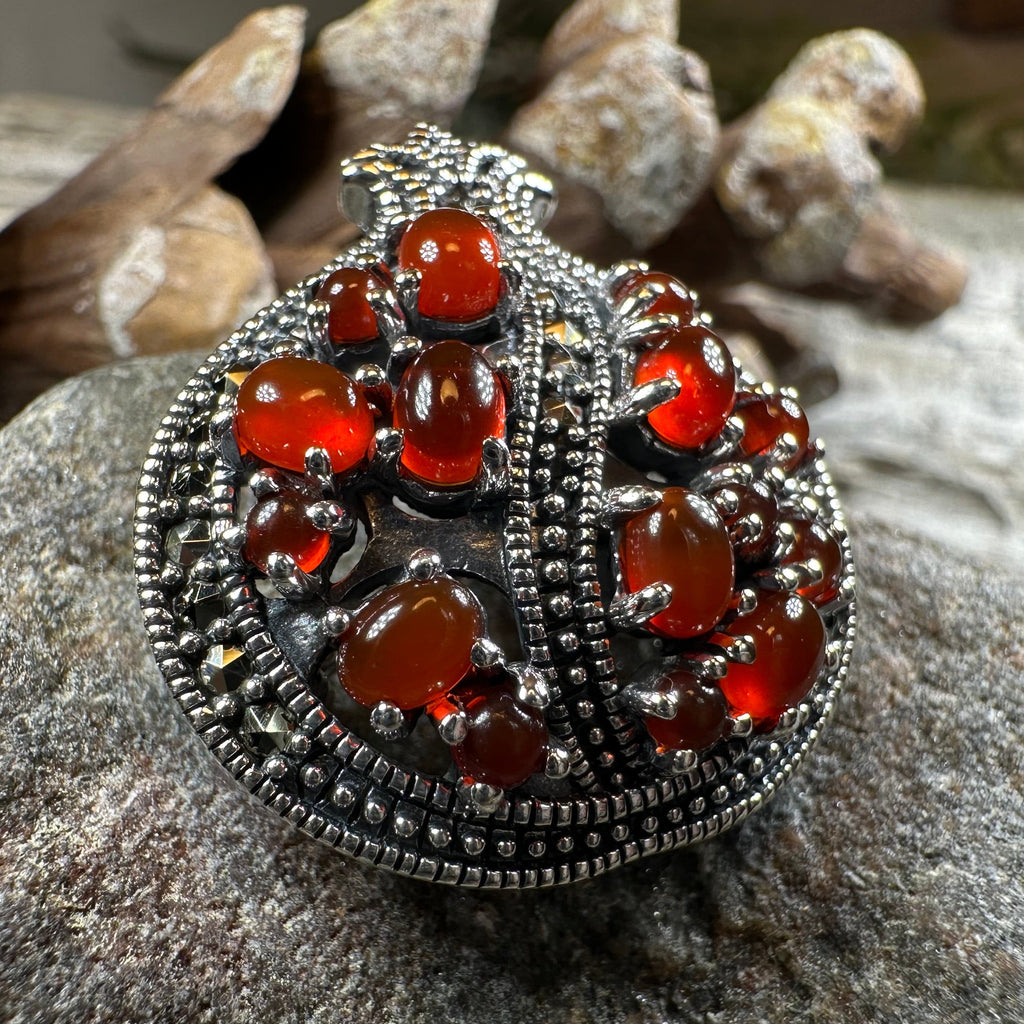 Ripe Pomegranate Brooch
