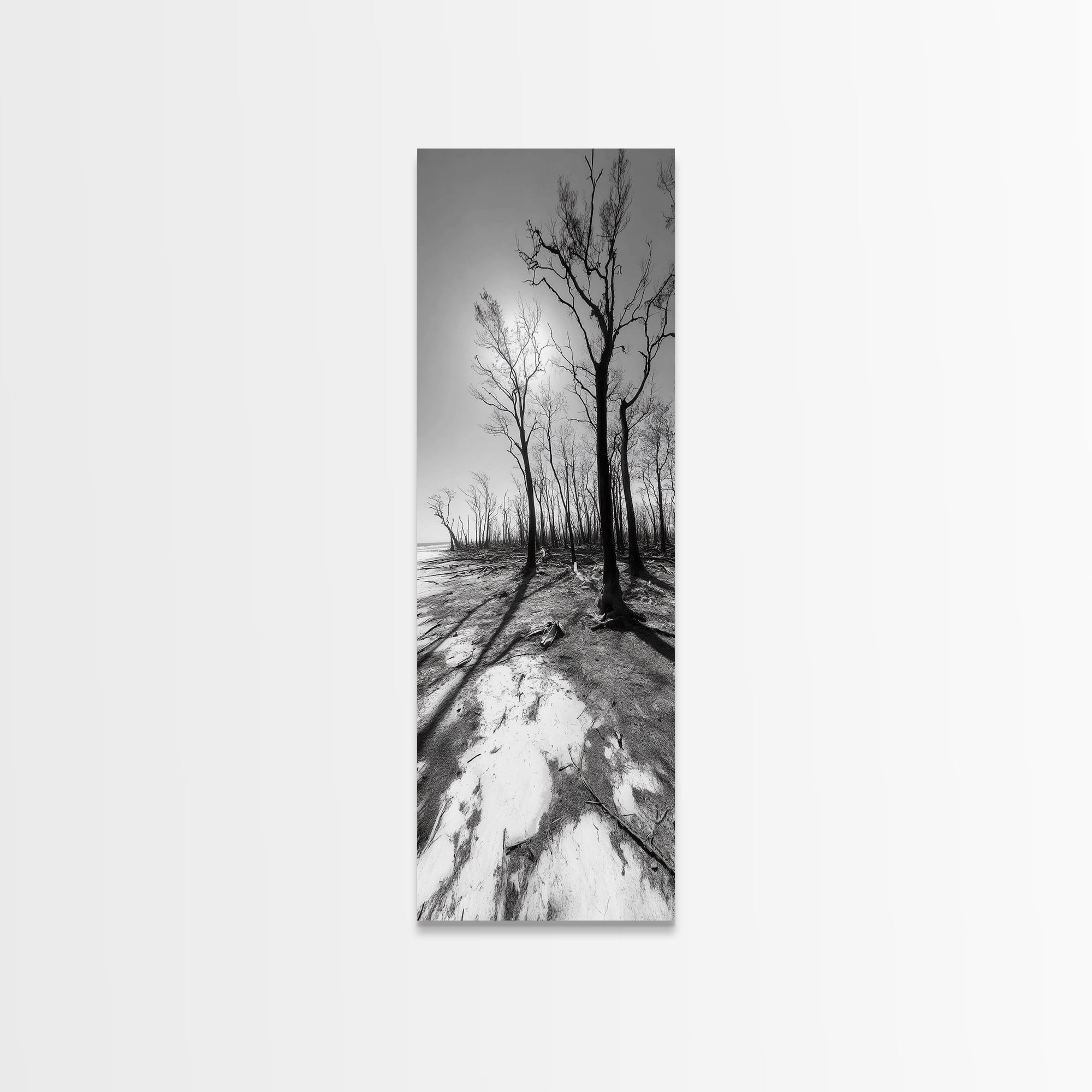 Haunting Tree Silhouettes, Forest Edge, Black White Nature, Desert Trees, Framed Canvas Print, Fall Art, Living Room Wall Art