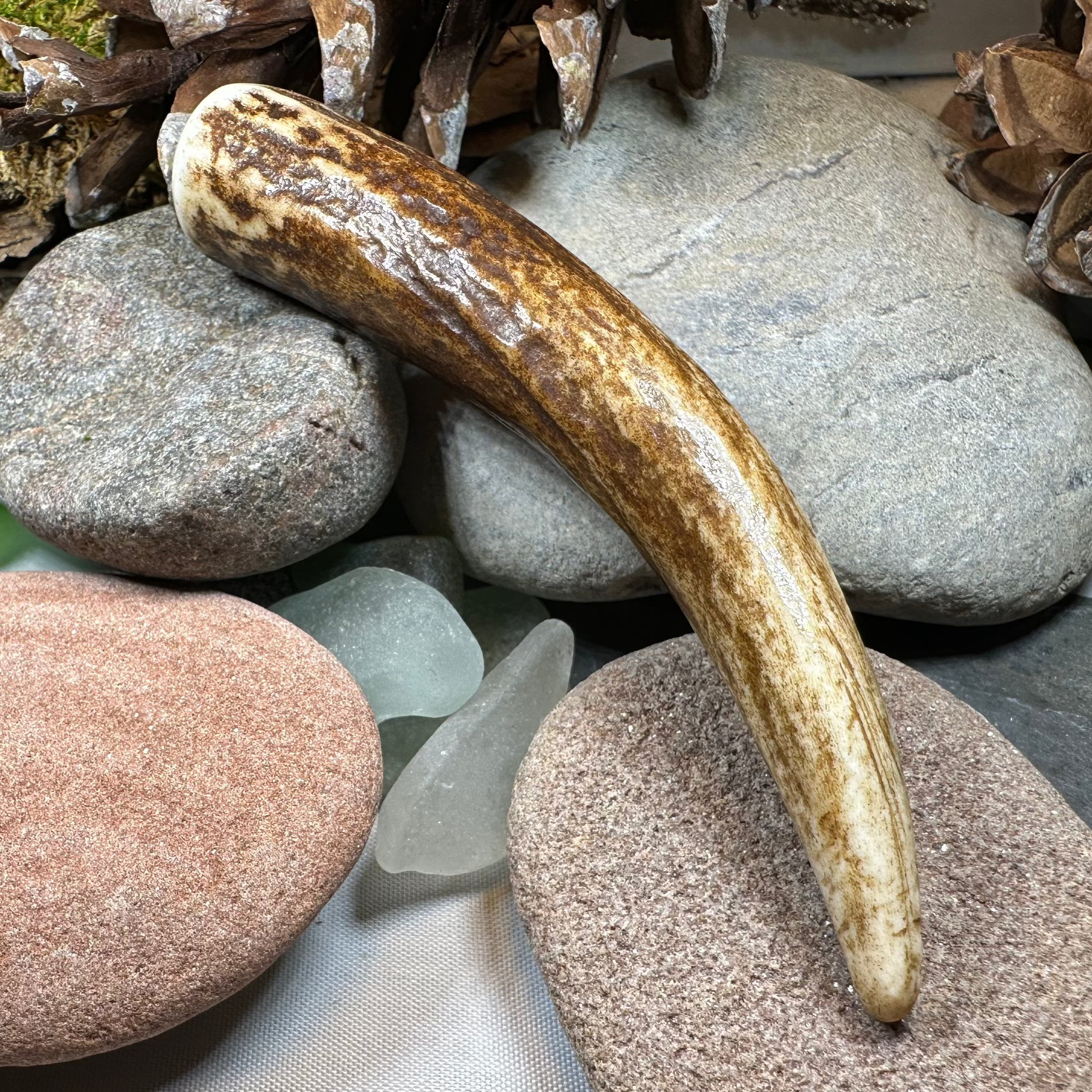 Stag Antler Kilt Pin - Handmade in Scotland