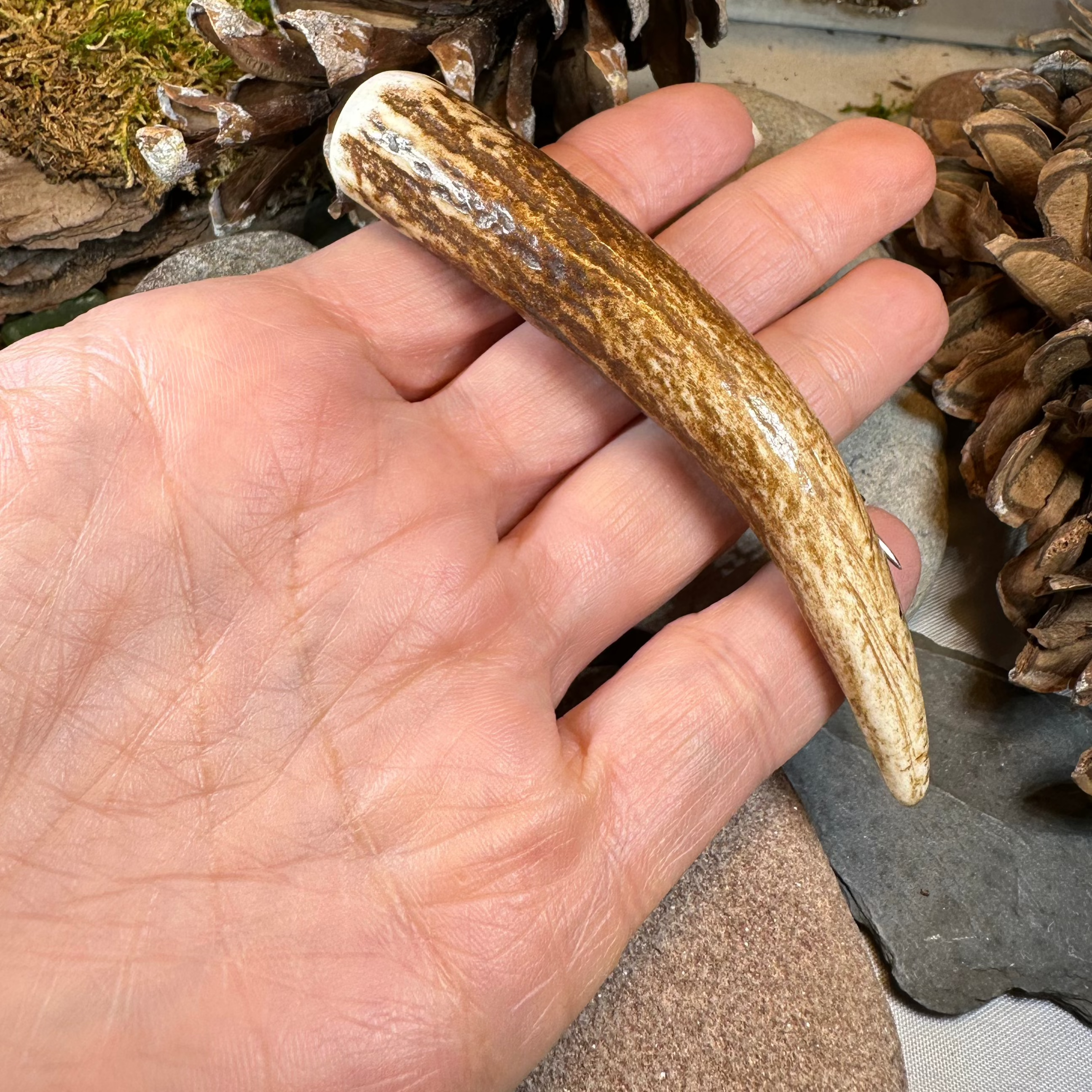 Stag Antler Kilt Pin - Handmade in Scotland