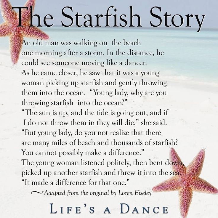 Starfish Brooch