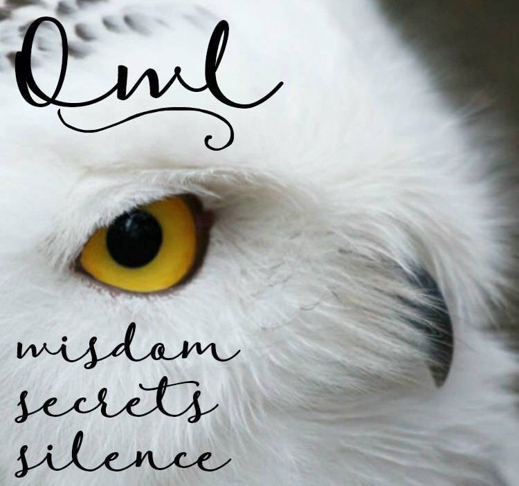 Pewter Handmade Night Owl Brooch
