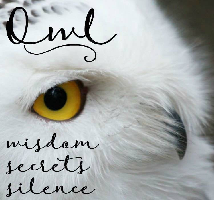 Silver Owl Necklace