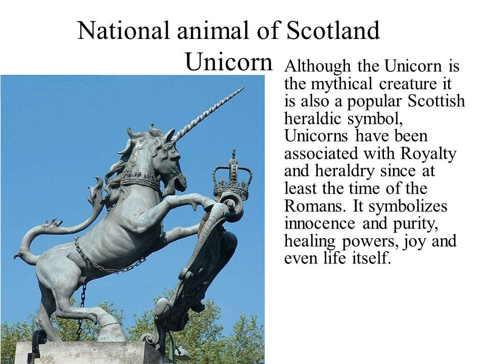 Magical Unicorn Necklace