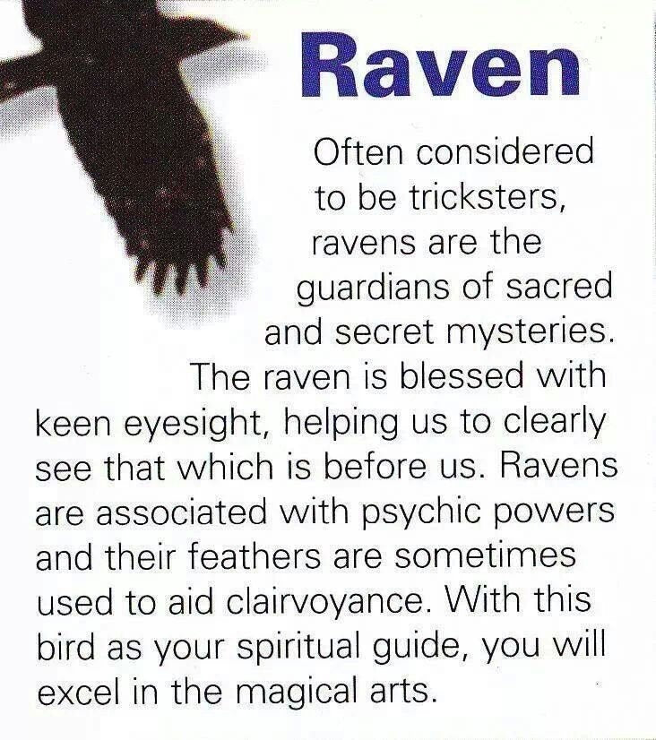 Tethra Realistic Raven Brooch