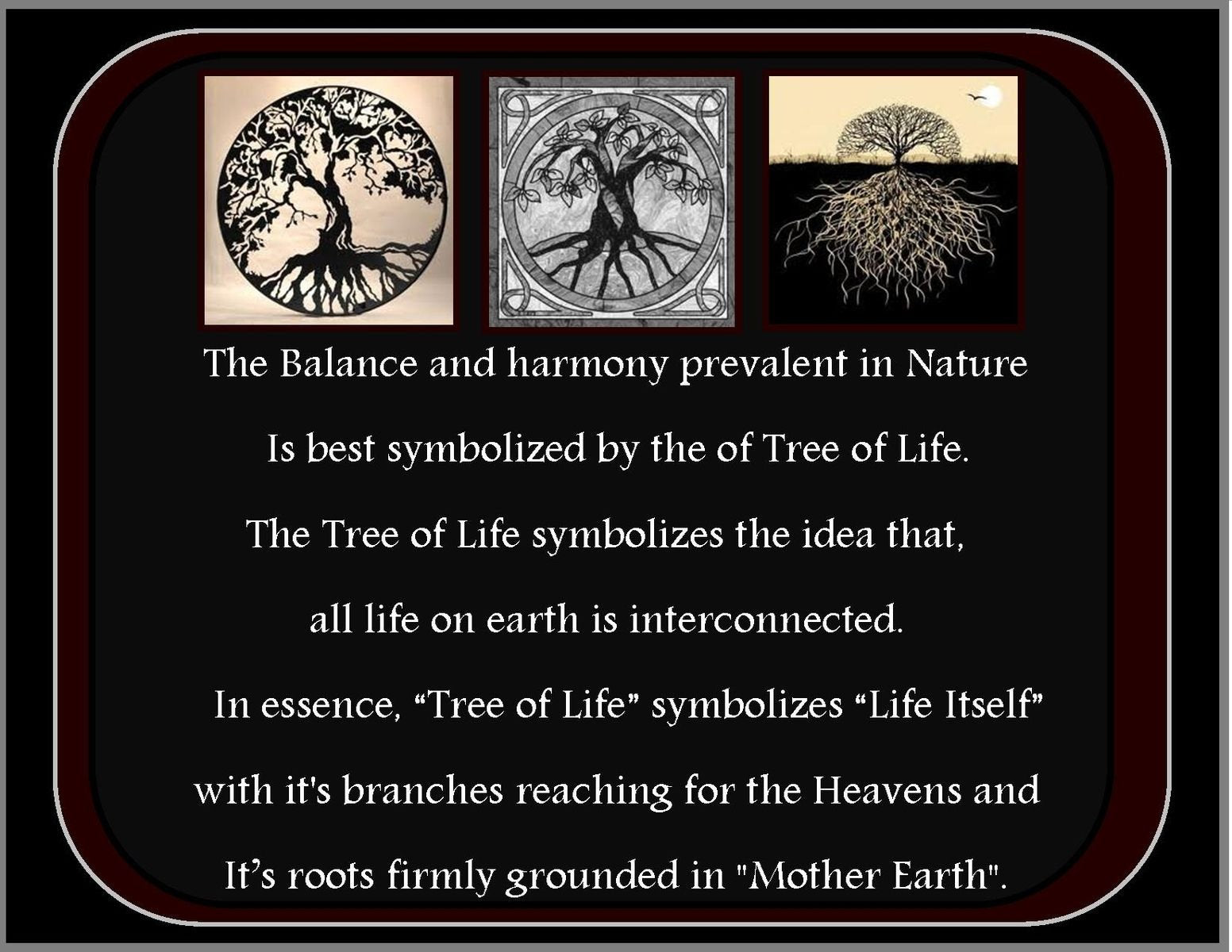 Tree of Life Stud Silver Earrings