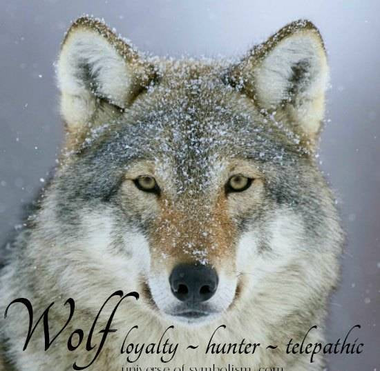 Ian Celtic Wolf Necklace