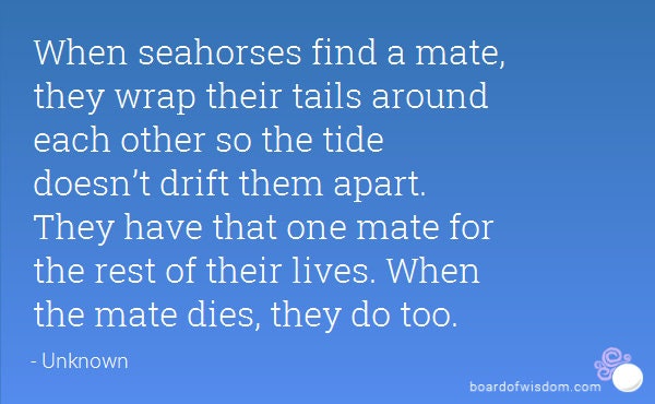 Pearl Seahorse Necklace