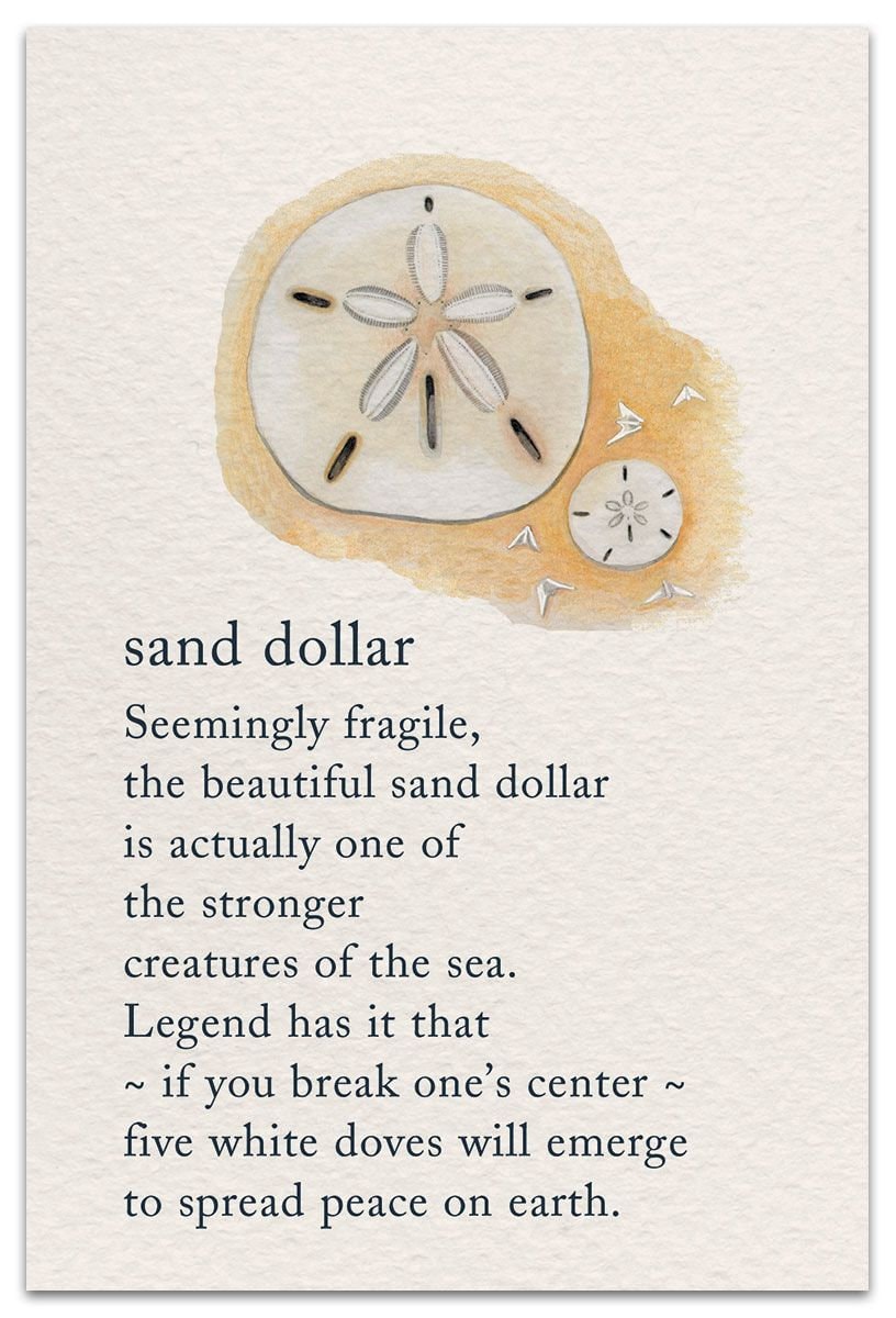 Seabrook Realistic Sand Dollar Earrings