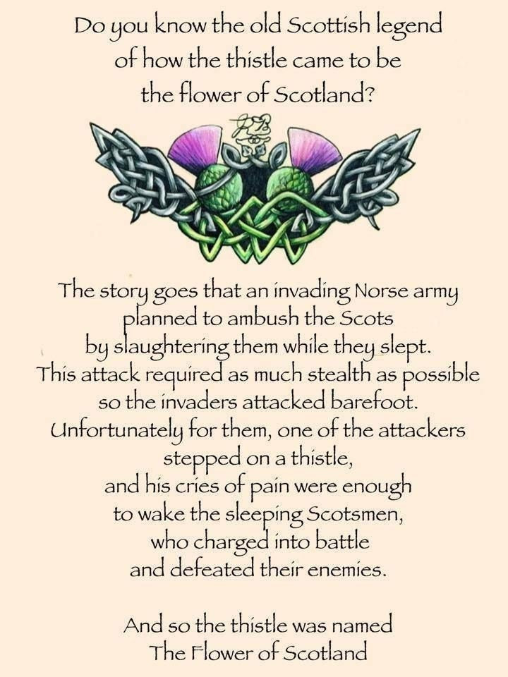 Larysa Scottish Thistle Brooch - Handmade in Scotland