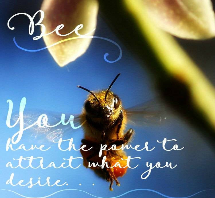 Bonny Bee Booch - Handmade in Scotland