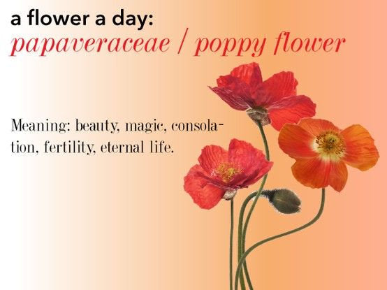 Poppy Flower Necklace - Made in Scotland