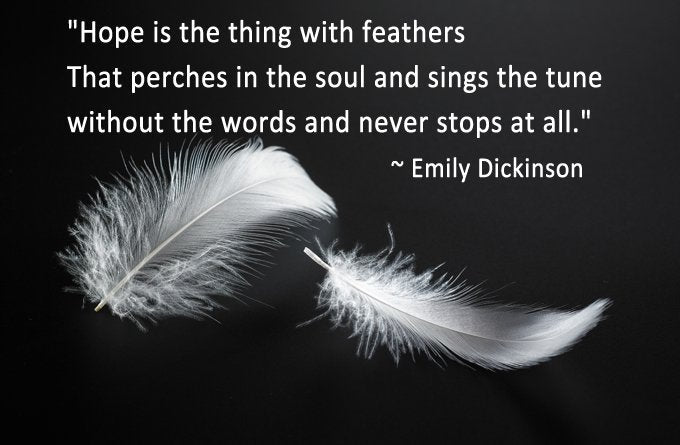 Feather Love Earrings