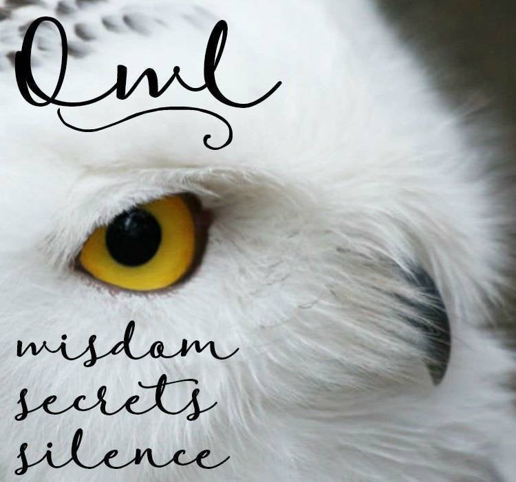 Regal Owl Necklace