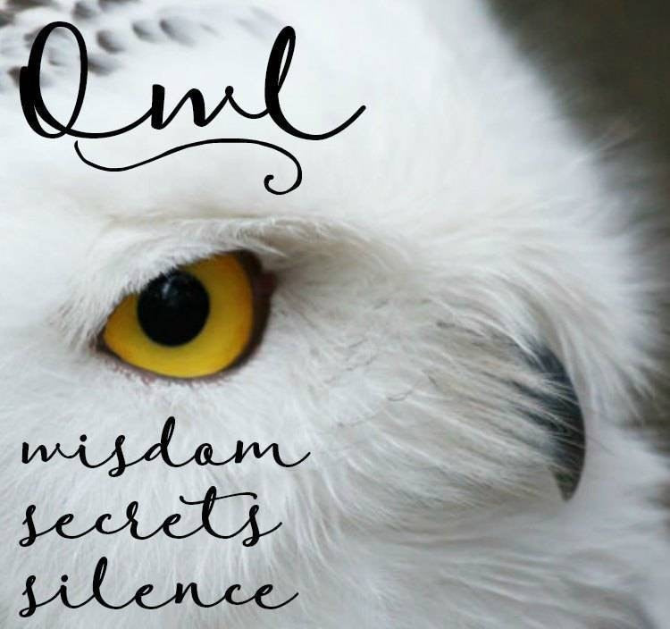 October Moon Owl Ring