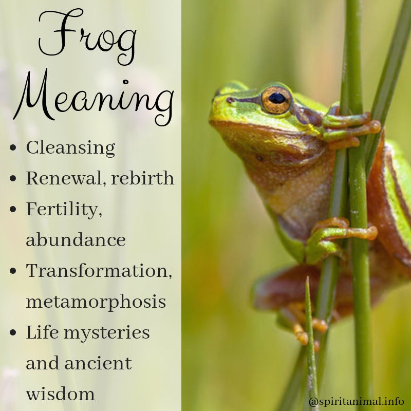 Jumping Frog Necklace in Sterling Silver