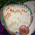 Seashell Ankle Bracelet