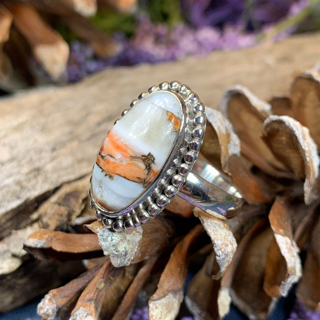 Romelle Spiny Oyster Turquoise Ring in Sterling Silver