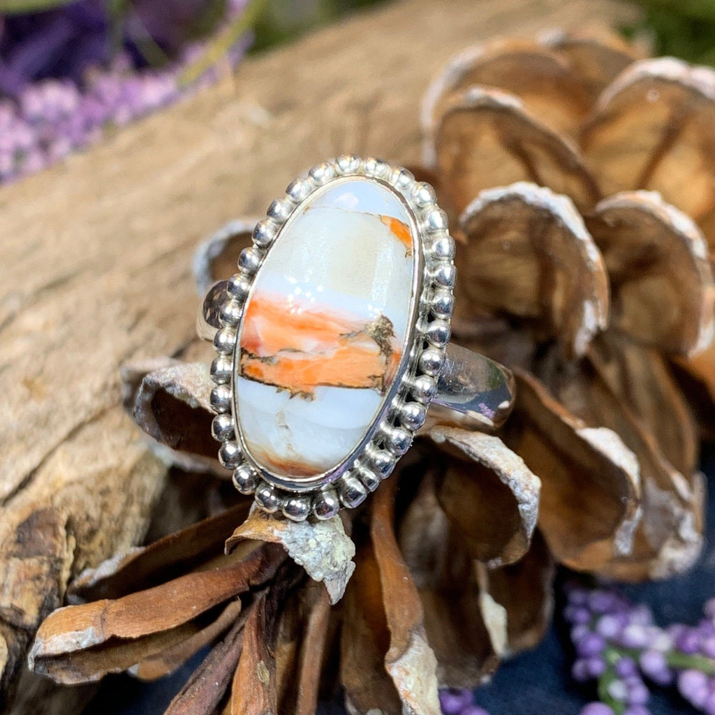 Romelle Spiny Oyster Turquoise Ring in Sterling Silver