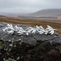 Joyful Scottish Thistle Brooch - Handmade in Scotland
