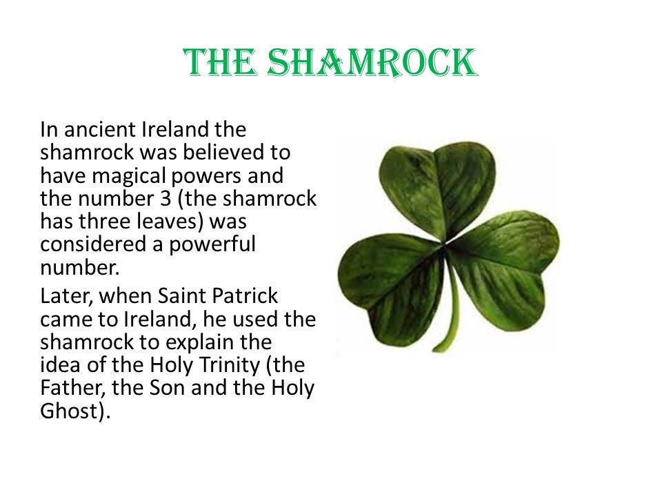 Connemara Shamrock Post Earrings for Women