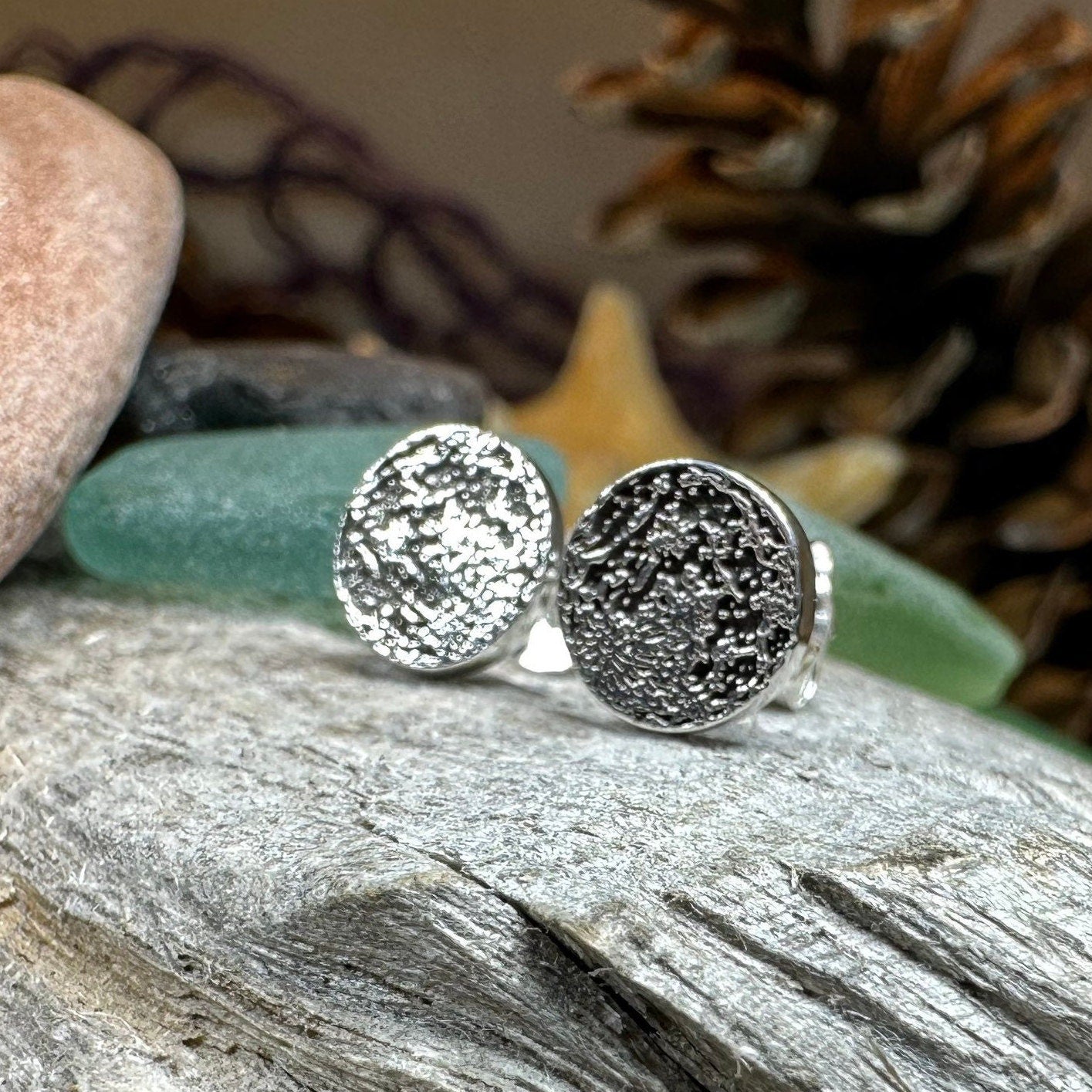 Realistic Moon Earrings
