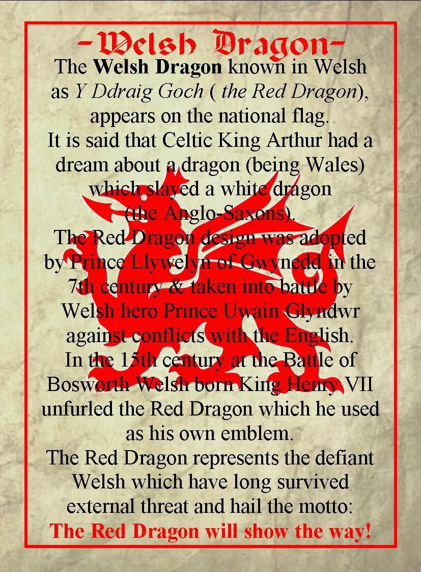 Large Welsh Dragon Brooch