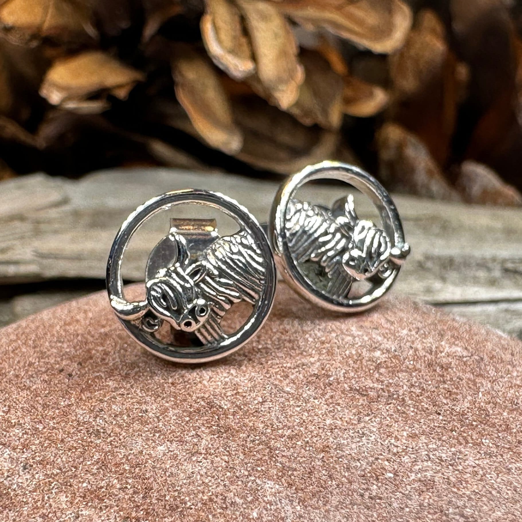Scruffy Coo Highland Cow Post Earrings for Women