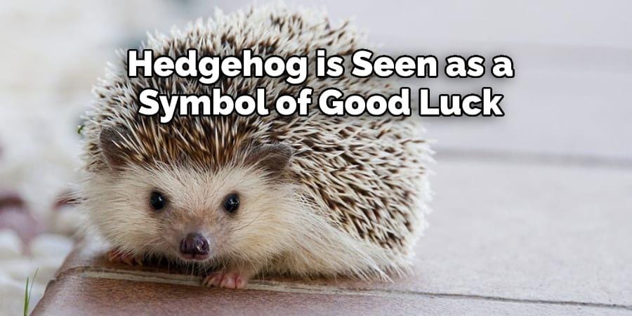 Artisan Sterling Silver Hedgehog Brooch - Handmade in Scotland